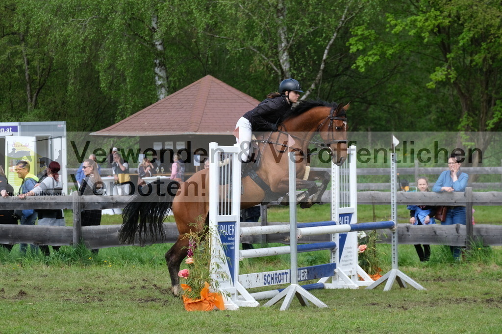 DSCF8294 | equestrian-live-com