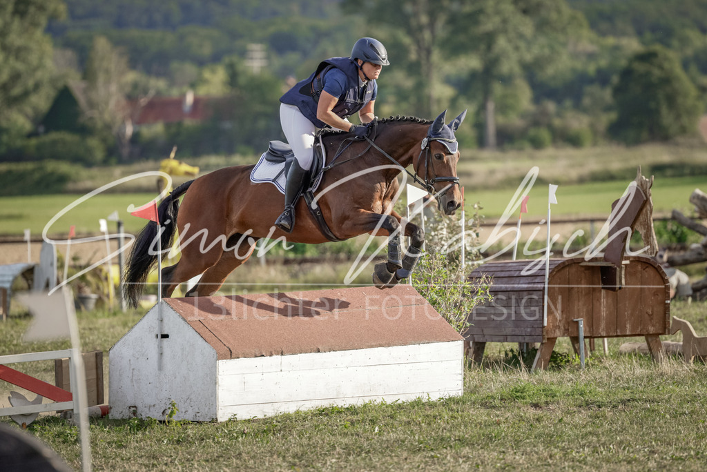 20250906-_3LI7643 | Tierfotografie Pferde, Hunde, Katzen, Haustiere.
Turnierfotografie Reitturniere, Reiten, Springreiten, Dressur in Hanau, dem Main-Kinzig-Kreis und dem Rhein-Main- Gebiet um Frankfurt