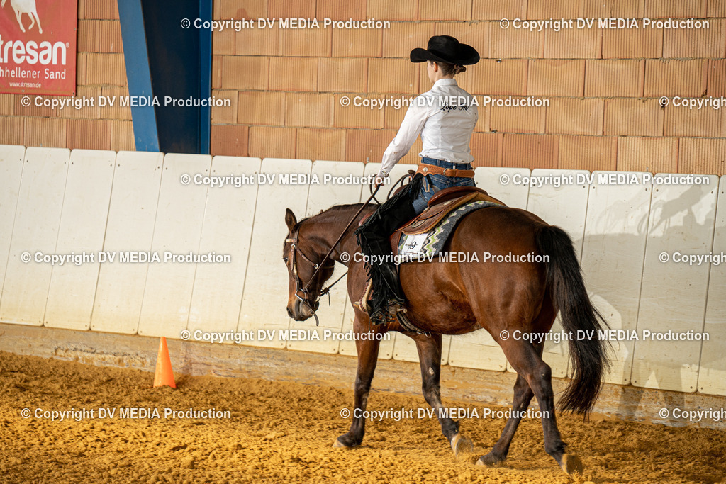 MIT00760 | dv-media-shop - Realisiert mit Pictrs.com