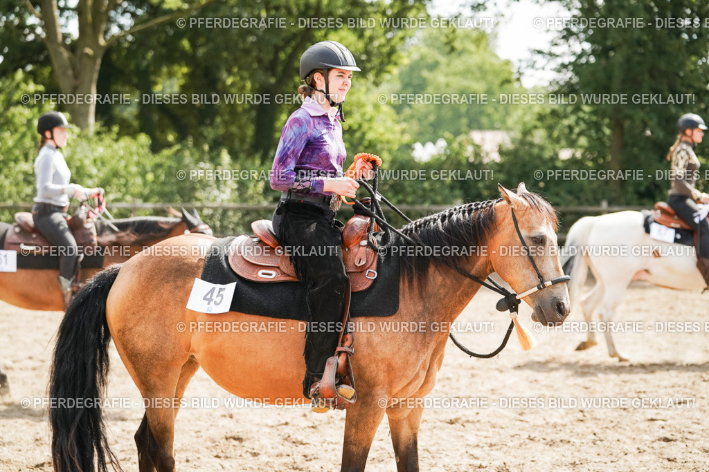 DSC05126 | Pferdegrafie