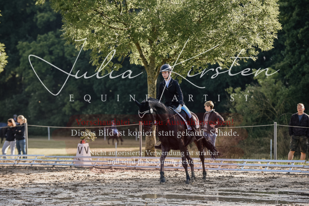 DSC_7843 | Pferde- und Turnierfotografie in Westsachsen. Pferdeportraits, Auftragszeichnungen und intuitive Kunst.