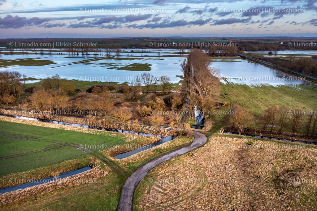 10049-51813 - Hochwasser im Großen Bruch | Stockfoto und Bilderpool mit Bildmaterial aus Deutschland, dem Harz, Halberstadt, Quedlinburg, Wernigerode und weltweit. Qualitativ hochwertige und professionelle Fotos anschauen und kaufen. - Realisiert mit Pictrs.com