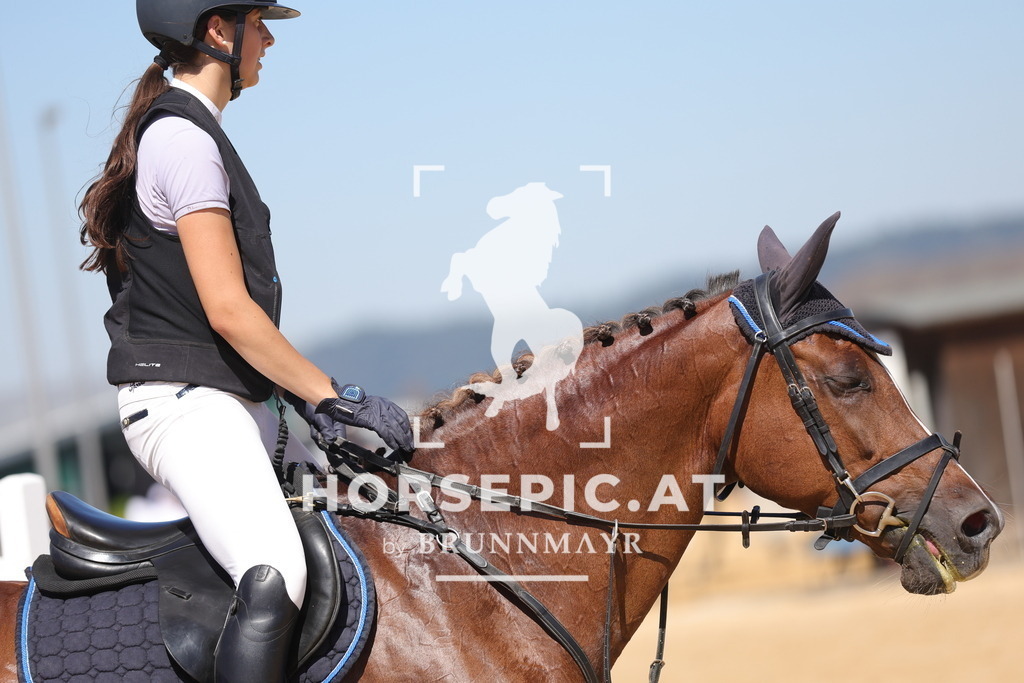 0P6A2359 | Willkommen bei Brunnmayr - Design & Fotografie – Ihrem Spezialisten für Reitturniere und Pferdeveranstaltungen in Oberösterreich, Salzburg und Bayern! Seit über 17 Jahren sind wir leidenschaftlich dabei.