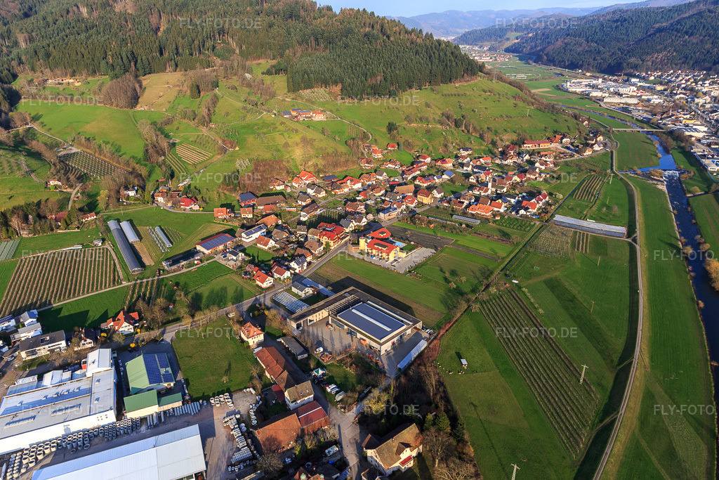 Luftbild: Ortsansicht von Westen in Haslach im Kinzigtal im Bundesland Baden-Württemberg in Deutschland. Foto: IMG_120302.jpg vom 17.03.2020 durch Werner Riehm/FLY-FOTO.de