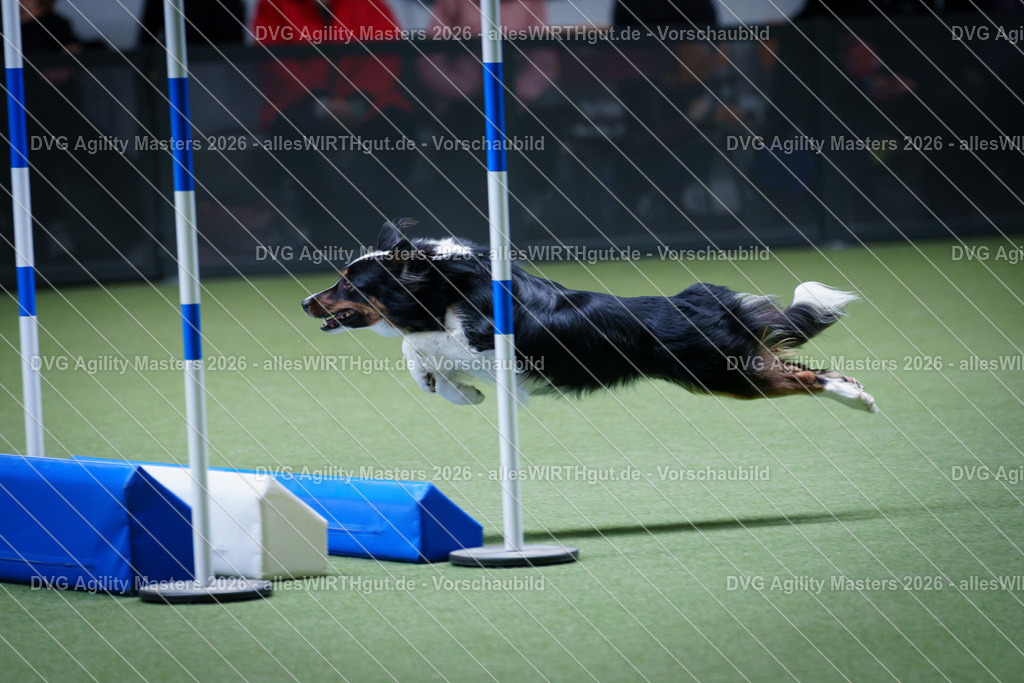allesWIRTHgut_Tierfotografie-DVG_Agility_Masters_2026-12_32-7R502518 | Professionelle Tierfotografie in Mönchengladbach von Daniel Wirth (allesWIRTHgut). Liebevolle & natürliche Bilder von Hunden & Katzen für unvergessliche Erinnerungen.