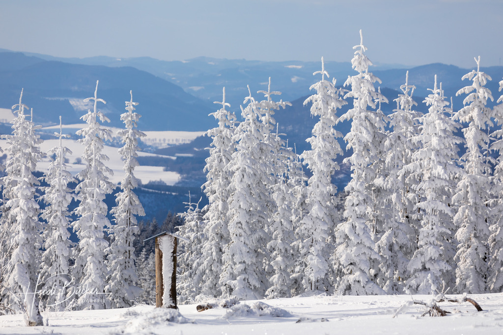 Winterlandschaft auf dem Kahlen Asten | Schneebedeckte Tannen auf dem Kahlen Asten bei Winterberg - Realisiert mit Pictrs.com