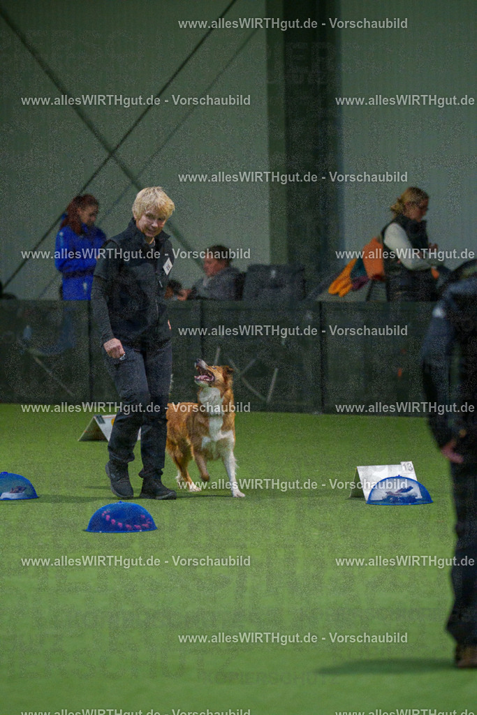 7R505473 | Professionelle Tierfotografie in Mönchengladbach von Daniel Wirth (allesWIRTHgut). Liebevolle & natürliche Bilder von Hunden & Katzen für unvergessliche Erinnerungen.