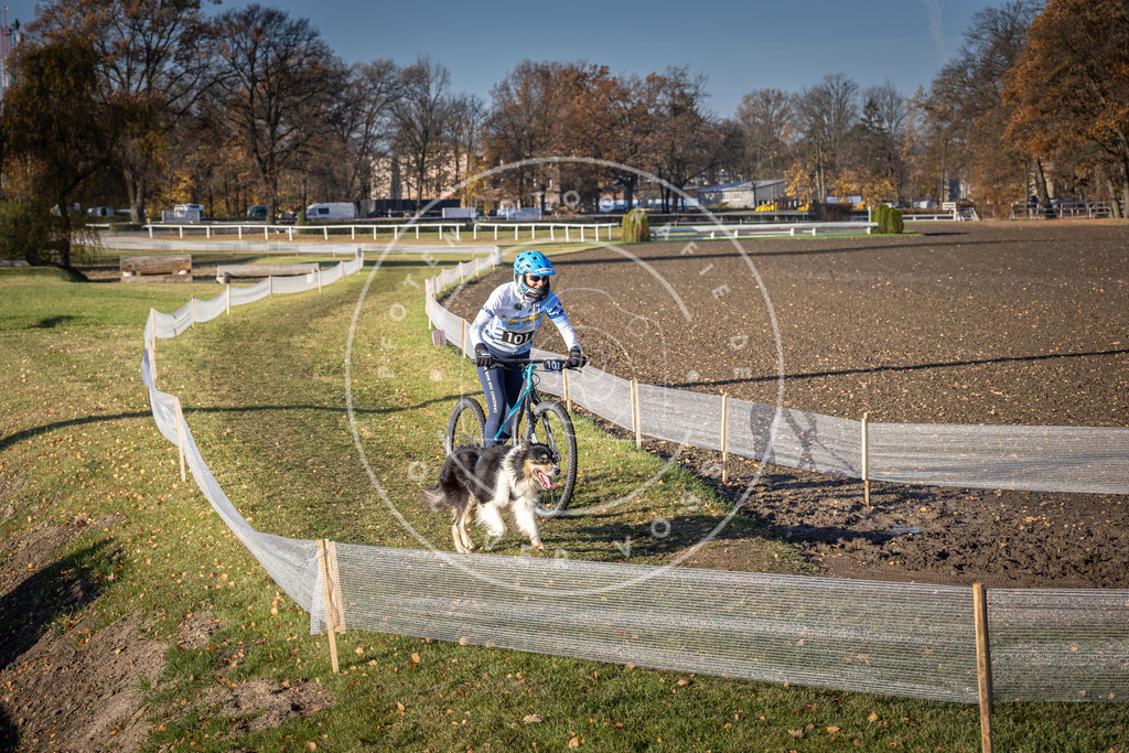 CaniXpix_DV3A2232 | Hundefotografie, Tierfotograf, Pfotenfotografie, Fotoshooting Hund, Hunde Portrait, Hundesport, Hundeportraits, Heideshooting, Hunde, Sportfotograf, Hundefotograf, Turnierhundsport, THS,  - Realisiert mit Pictrs.com