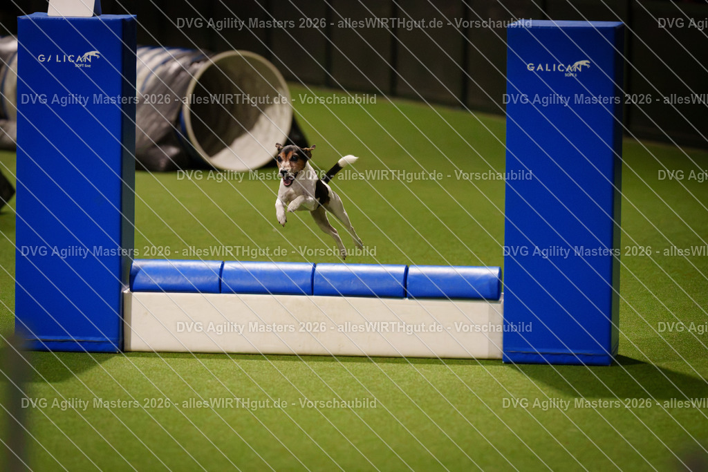allesWIRTHgut_Tierfotografie-DVG_Agility_Masters_2026-18_03-7R506404 | Professionelle Tierfotografie in Mönchengladbach von Daniel Wirth (allesWIRTHgut). Liebevolle & natürliche Bilder von Hunden & Katzen für unvergessliche Erinnerungen.