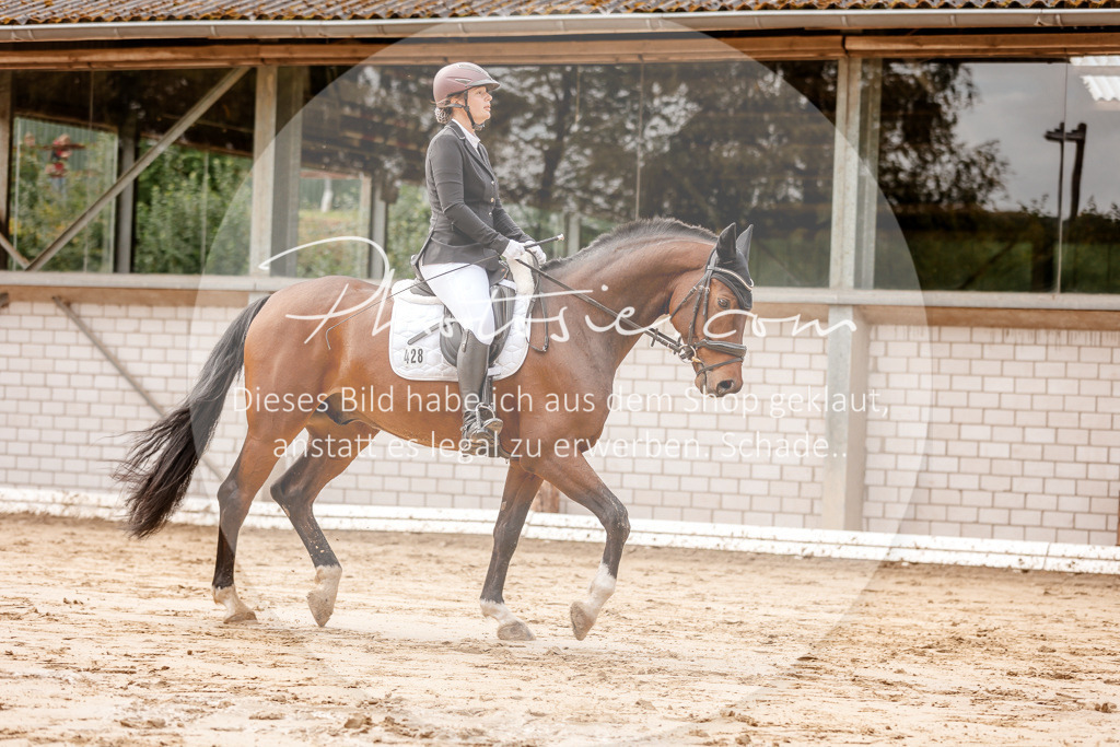 3I6A6941 | Stimmungsvolle Portraits und Reitsportfotografie im Ruhrgebiet und im Münsterland.

Pferdefotografie, Hundefotografie, Tierfotografie, Reportagen, Portraits von Tier und Mensch, Turnierfotografie in Bochum, Recklinghausen, Marl, Haltern am See, Dülmen.. - Realisiert mit Pictrs.com