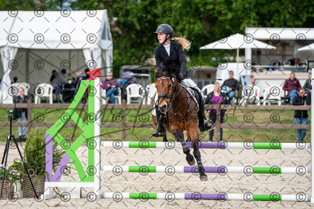 KPT_7118 | andre_photographic