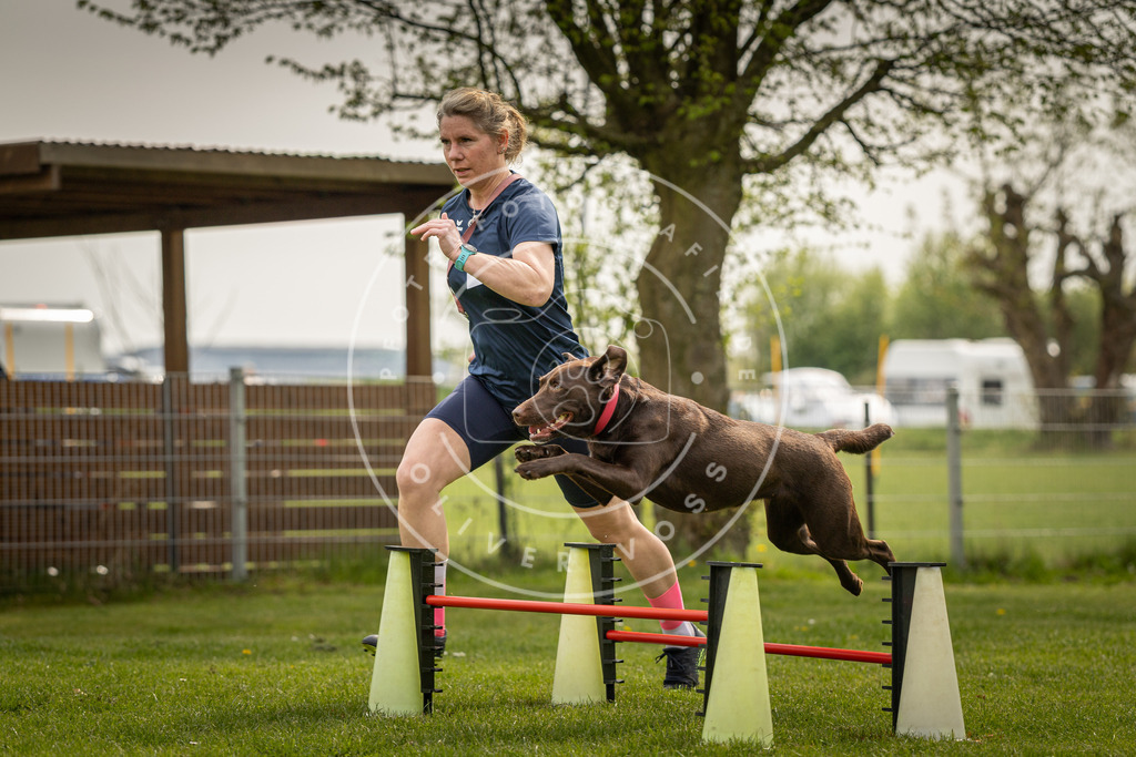 Pfotenfotografie_DV3A6728 | Hundefotografie, Tierfotograf, Pfotenfotografie, Fotoshooting Hund, Hunde Portrait, Hundesport, Hundeportraits, Heideshooting, Hunde, Sportfotograf, Hundefotograf, Turnierhundsport, THS,  - Realisiert mit Pictrs.com