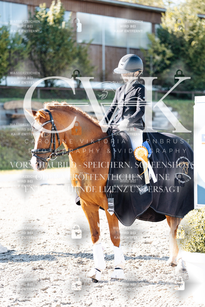 CK908448 | Turnierfotografie Pferdefotografie Trier Rheinland-Pfalz Pferdesport Reitsport Tierfotografie Sportfotografie Pferdevideo Pferdevideografie Equestrianvideography equestrianphotography  - Realisiert mit Pictrs.com