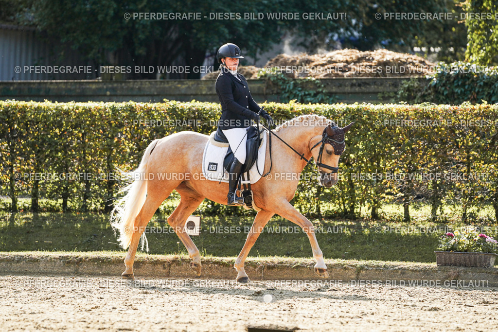 DSC05804 | Pferdegrafie