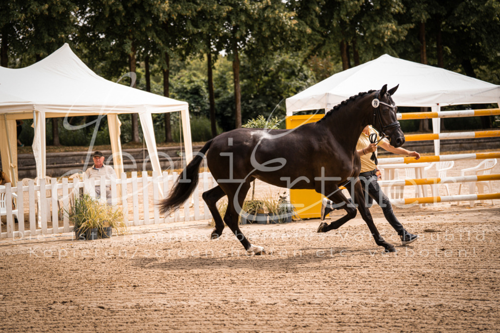 4.Fr00067 | Leoni Ertmer Photography - Realisiert mit Pictrs.com