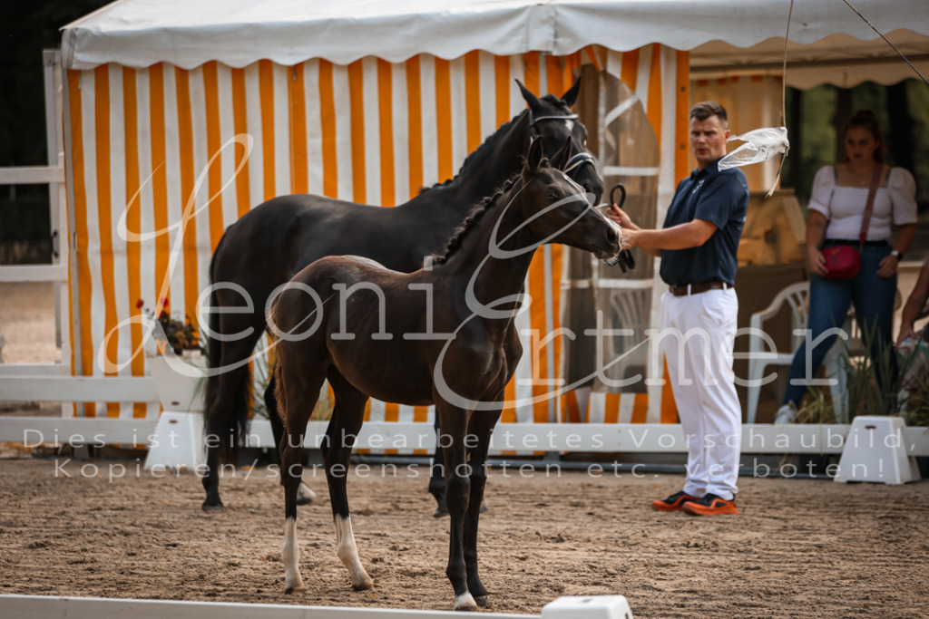 10.DoRP00067 | Leoni Ertmer Photography - Realisiert mit Pictrs.com