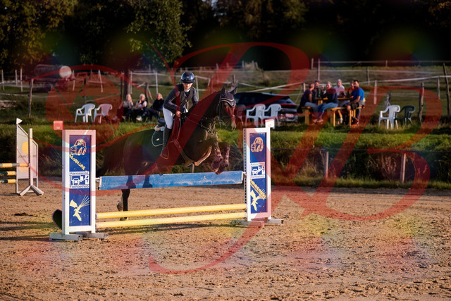 2026_10_03_Siefer-Hof_171603_Z81_14019027 | Professionelle Reitsport-, Turnier- und Eventfotografie von Robert Broda. Galerien mit ausgewählten und bearbeiteten Bildern direkt online ansehen und bestellen.