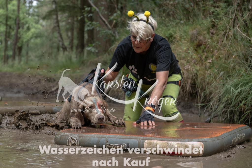 1338_ZZ95136 | kk-dogfotos