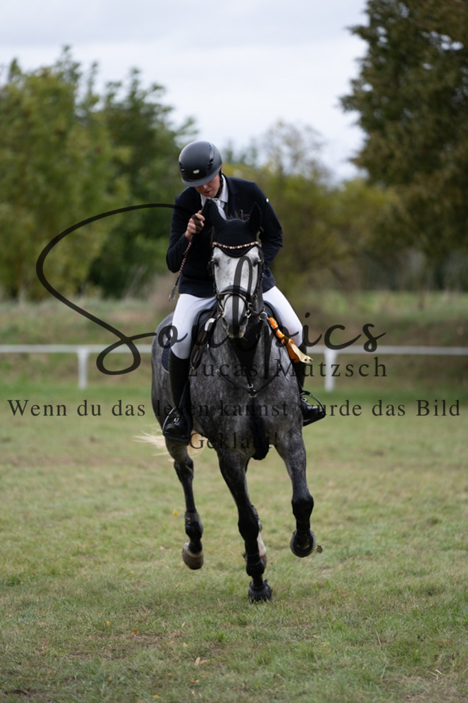 A7V07406 | Turnier/Reitfotograf
