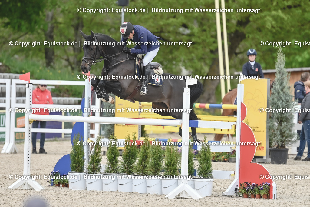 20230514_CCI4_Springen_0040 | equistock