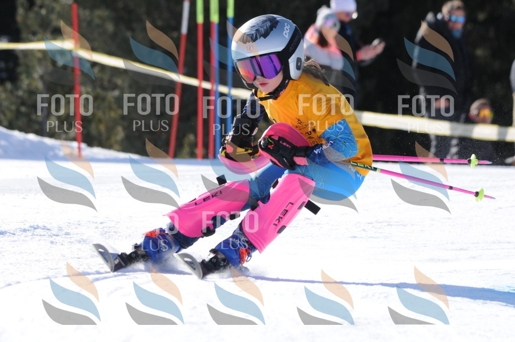 C7041 | holidayphoto