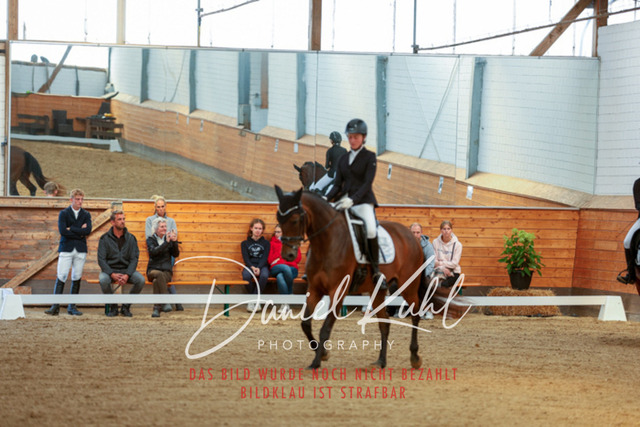 _62_7449 | Turniersportfotografie; Pferdefotografie; Dressurfotografie