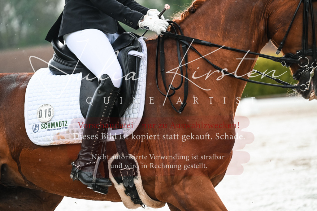 DSC_4310 | Pferde- und Turnierfotografie in Westsachsen. Pferdeportraits, Auftragszeichnungen und intuitive Kunst.