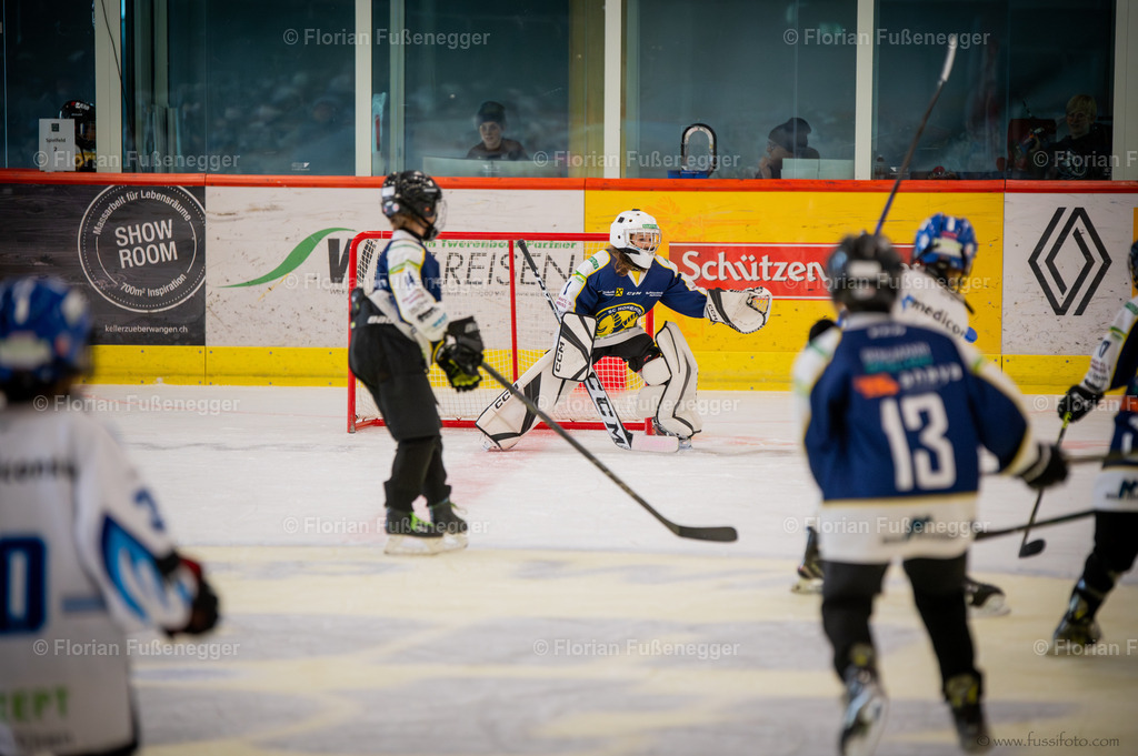 DSC_1893 | "Fussifoto.com – Ihr Ansprechpartner für hochwertige Fotografie! Entdecken Sie kreative Bilder und professionelle Dienstleistungen. Kontaktieren Sie uns für Ihre Projekte!"