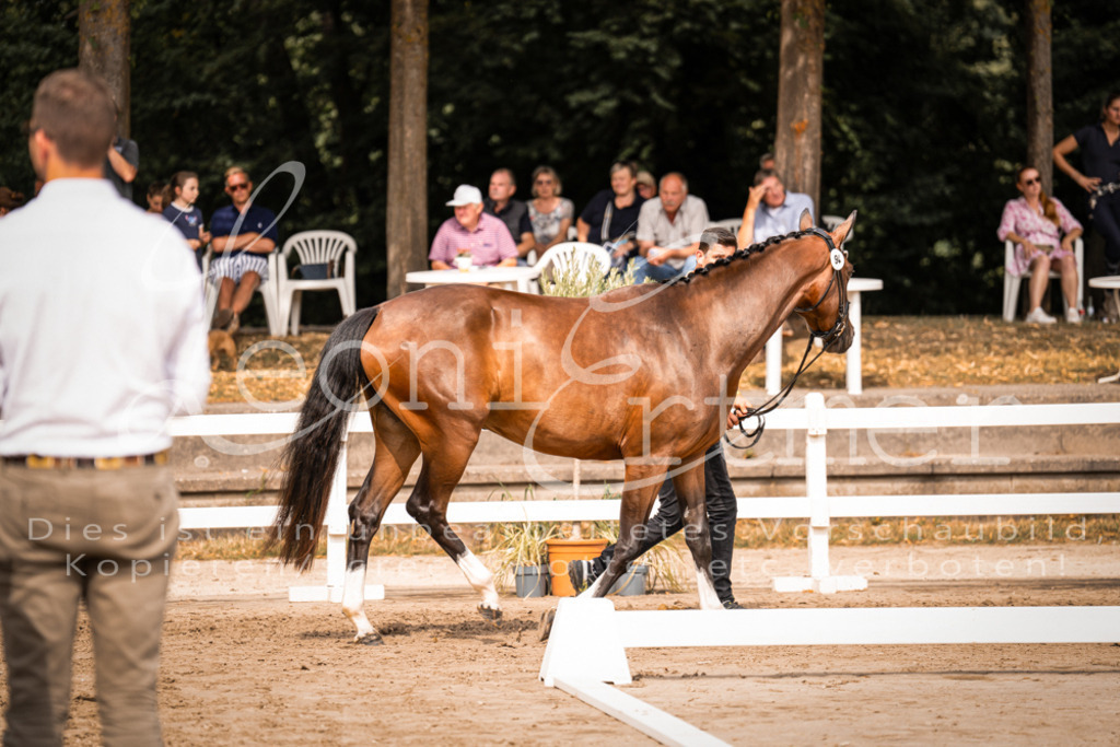 6.Fr00145 | Leoni Ertmer Photography - Realisiert mit Pictrs.com