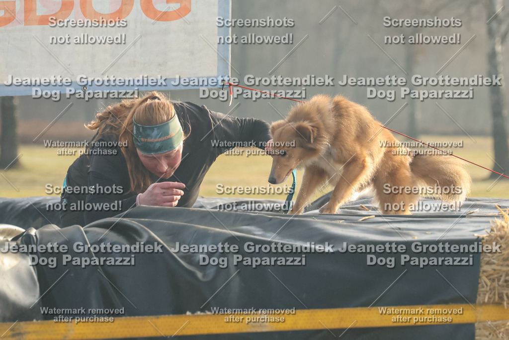 Dog Paparazzi - SD North Sa 830-900-69 | Dog Paparazzi Jeanette Grottendiek Fotografie & Videografie - Realisiert mit Pictrs.com