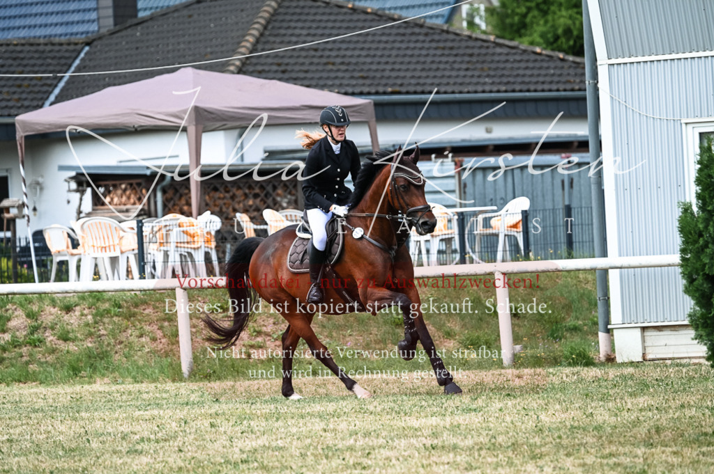 DSC_9044 | Pferde- und Turnierfotografie in Westsachsen. Pferdeportraits, Auftragszeichnungen und intuitive Kunst.
