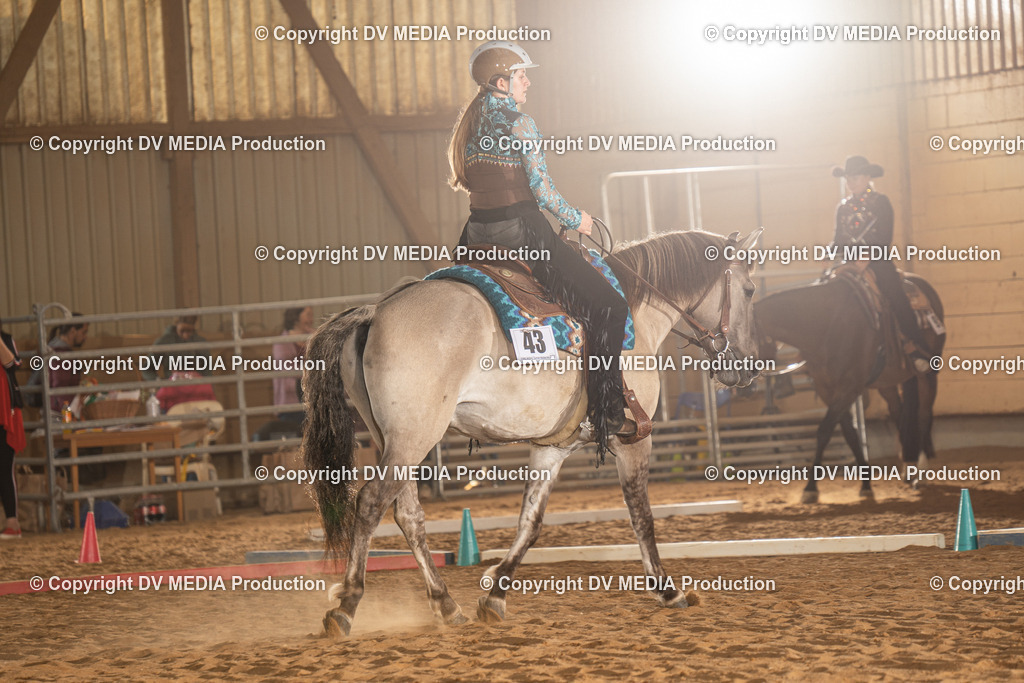 NID02552 | dv-media-shop - Realisiert mit Pictrs.com