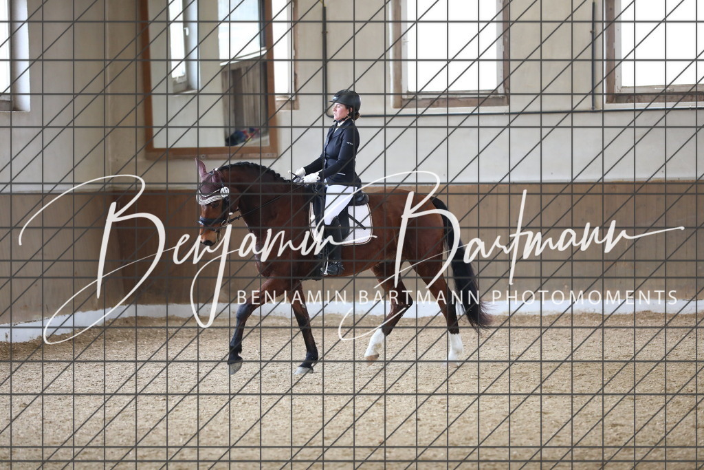 AZ2A0516 | Benjamin Bartmann Photomoments