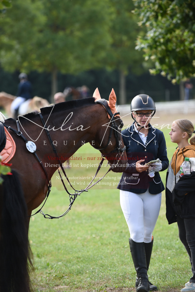 DSC_8623 | Pferde- und Turnierfotografie in Westsachsen. Pferdeportraits, Auftragszeichnungen und intuitive Kunst.
