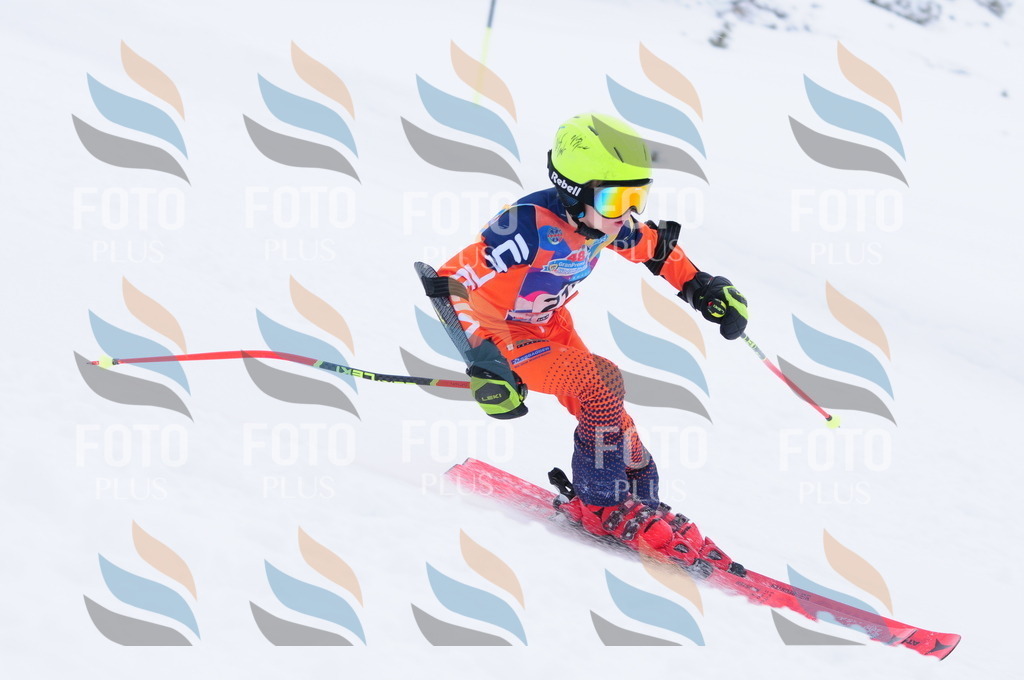 C2334 | holidayphoto