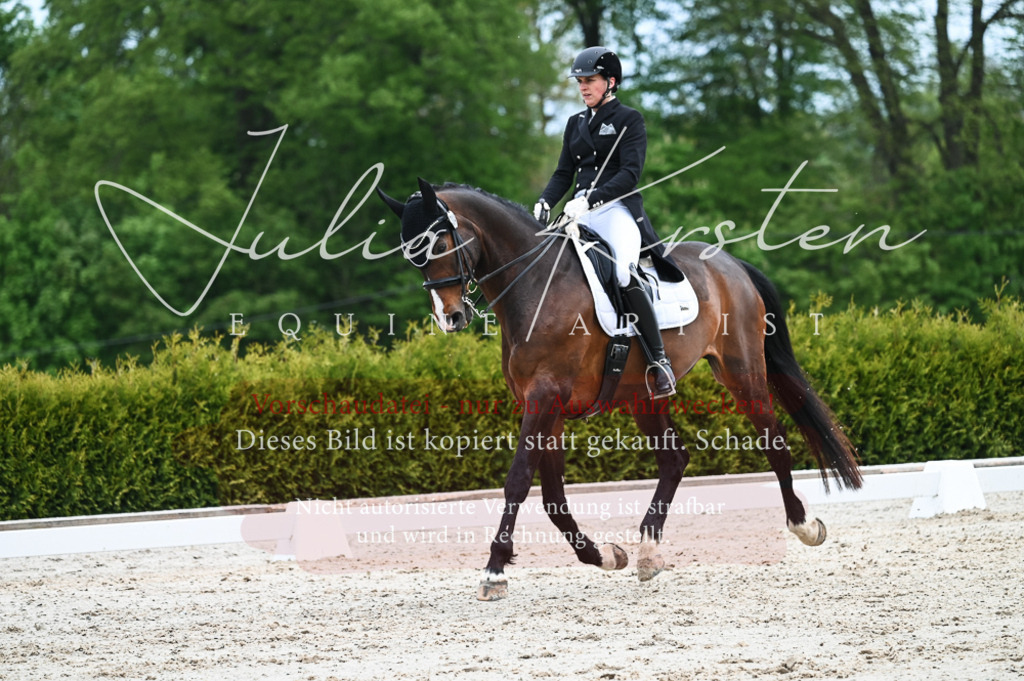 20230513_JK-Röhrsdorf-12-184-2 | Pferde- und Turnierfotografie in Westsachsen. Pferdeportraits, Auftragszeichnungen und intuitive Kunst.