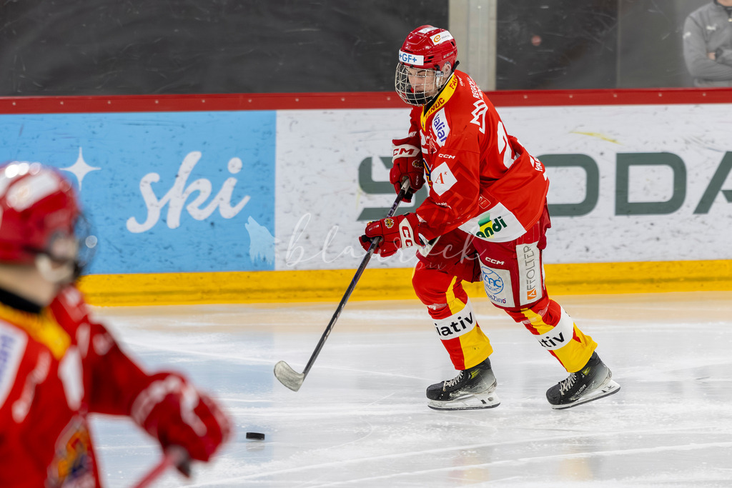 EHCB vs HCD 20262703-414937600 | Sportbilder, Sportfotograf, Hochzeits- und Eventfotografin, Flugshows, Portraits und Tiershooting, Aviation, Downhill, Nationalleague, Swissleague, International