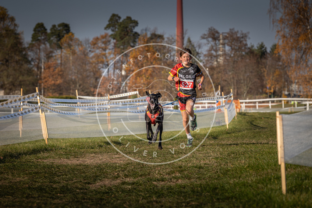CaniXpix_0L8A8736 | Hundefotografie, Tierfotograf, Pfotenfotografie, Fotoshooting Hund, Hunde Portrait, Hundesport, Hundeportraits, Heideshooting, Hunde, Sportfotograf, Hundefotograf, Turnierhundsport, THS,  - Realisiert mit Pictrs.com