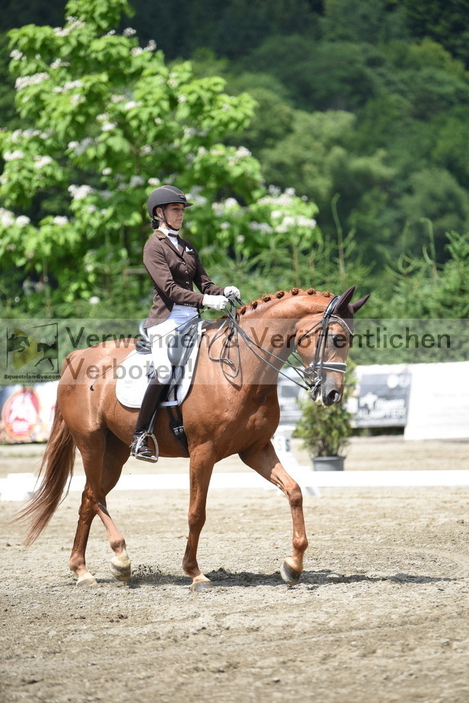 DSC_9220 | equestrian-live-com