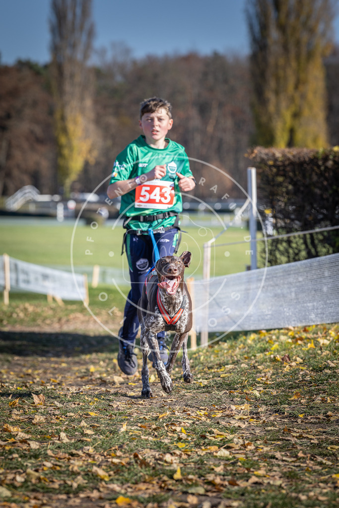 CaniXpix_DV3A8396 | Hundefotografie, Tierfotograf, Pfotenfotografie, Fotoshooting Hund, Hunde Portrait, Hundesport, Hundeportraits, Heideshooting, Hunde, Sportfotograf, Hundefotograf, Turnierhundsport, THS,  - Realisiert mit Pictrs.com