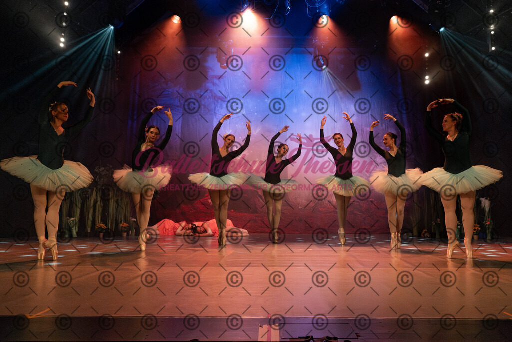 Ballettaufführung-1096 | Bildershop Lem'n Entertainment - Realisiert mit Pictrs.com