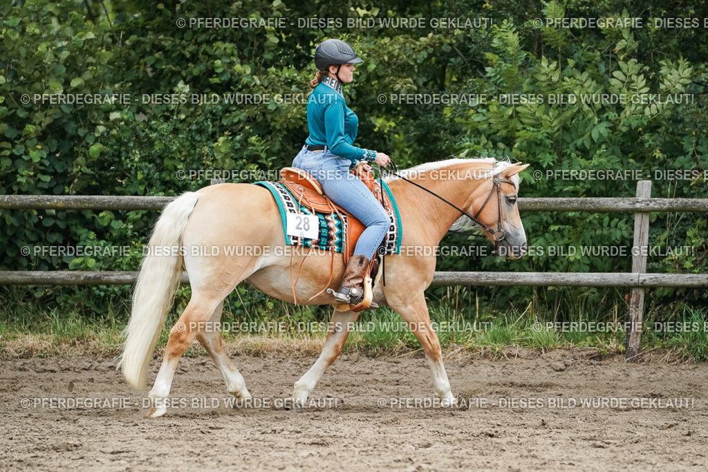 DSC04236 | Pferdegrafie