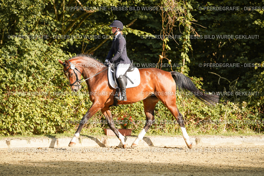 DSC05395 | Pferdegrafie