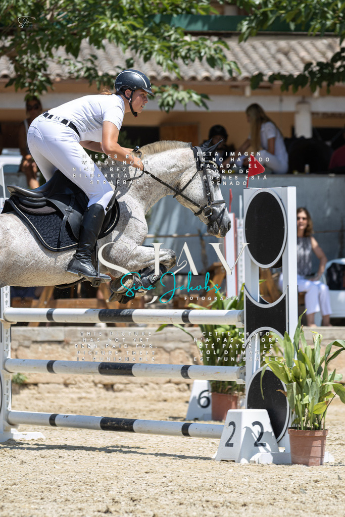 IMG_6468 | s-jay-photography - Realisiert mit Pictrs.com