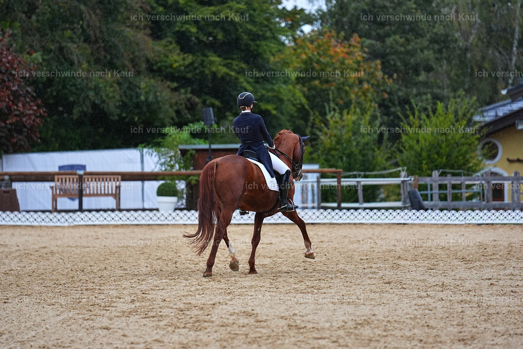 8_1-223-Klasse S_  -Marixx-4288 | working equitationturnier fotograf videograf stoibphotography marixx film working equitation deutschland reitsport turnierfotografie eventfotografie equestrian events