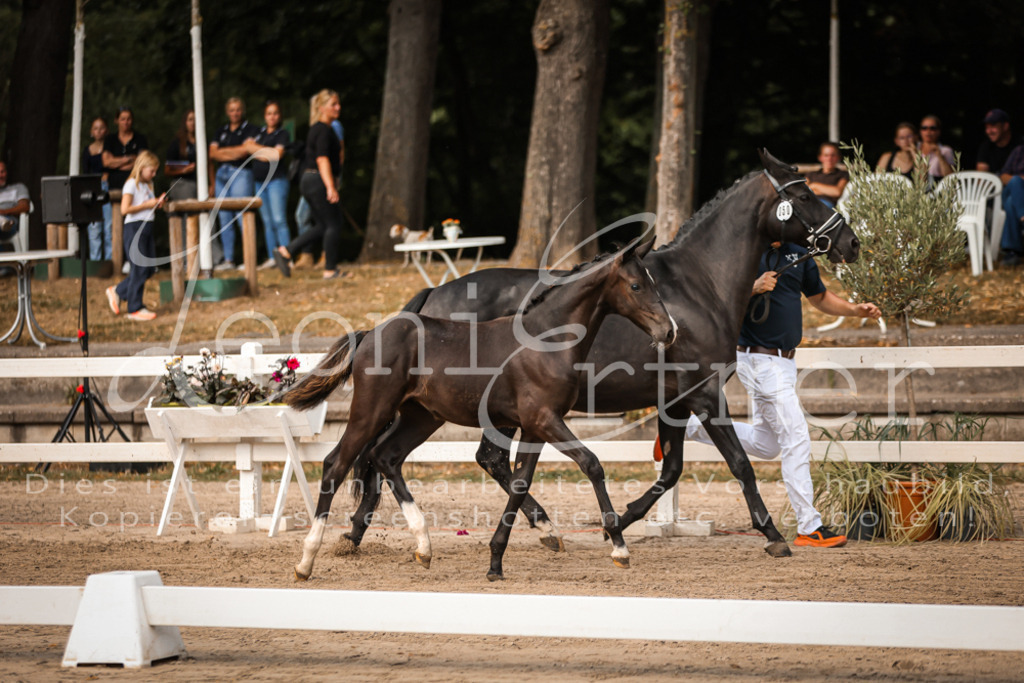 10.DoRP00074 | Leoni Ertmer Photography - Realisiert mit Pictrs.com