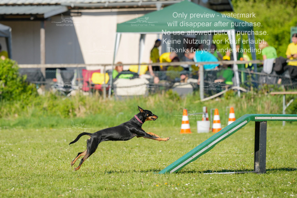 Sa_CSC-468 | stephaniefillaphotographie - Realisiert mit Pictrs.com