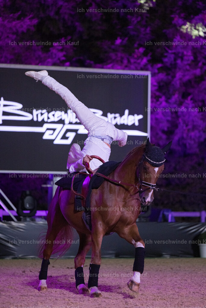 Gala-245 | working equitationturnier fotograf videograf stoibphotography marixx film working equitation deutschland reitsport turnierfotografie eventfotografie equestrian events