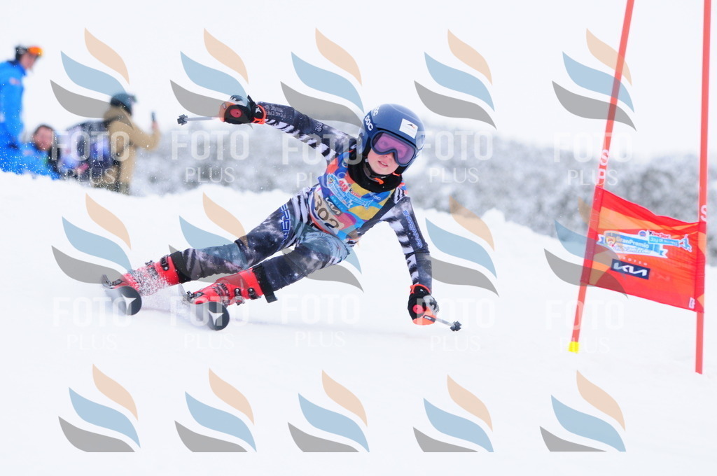 C3201 | holidayphoto