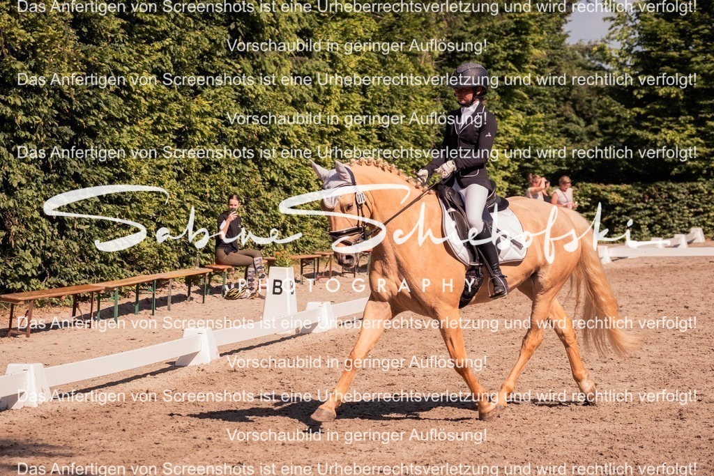 2025_05_31_DSCF3041 | People- und Tierfotografie, Imageaufnahmen, Veranstaltungsfotografie und Wandbilder aus der Natur ★ Made in Germany ✔️ Druck + Downloads ✔️ Naturfotografie in Top Qualität ★ schneller Versand, weltweite Lieferung! - Realisiert mit Pictrs.com